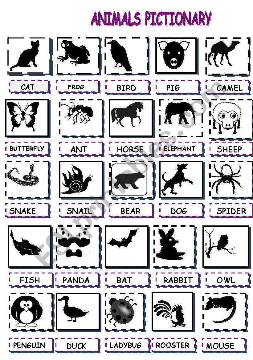 animals pictionary worksheet