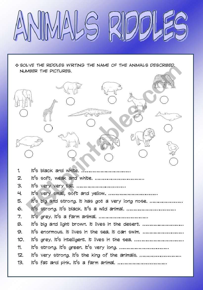 Animals riddles worksheet