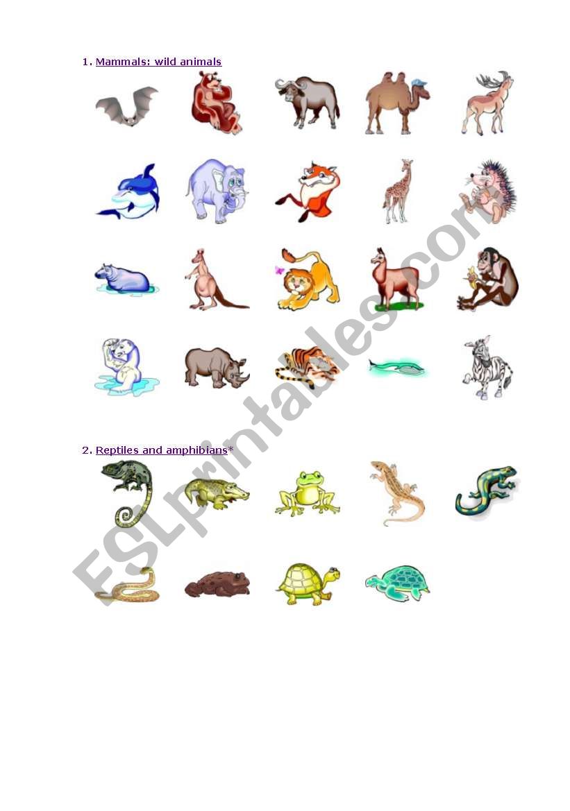 Animals worksheet