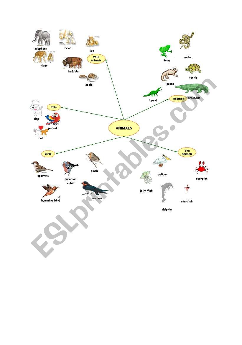 types of animals worksheet