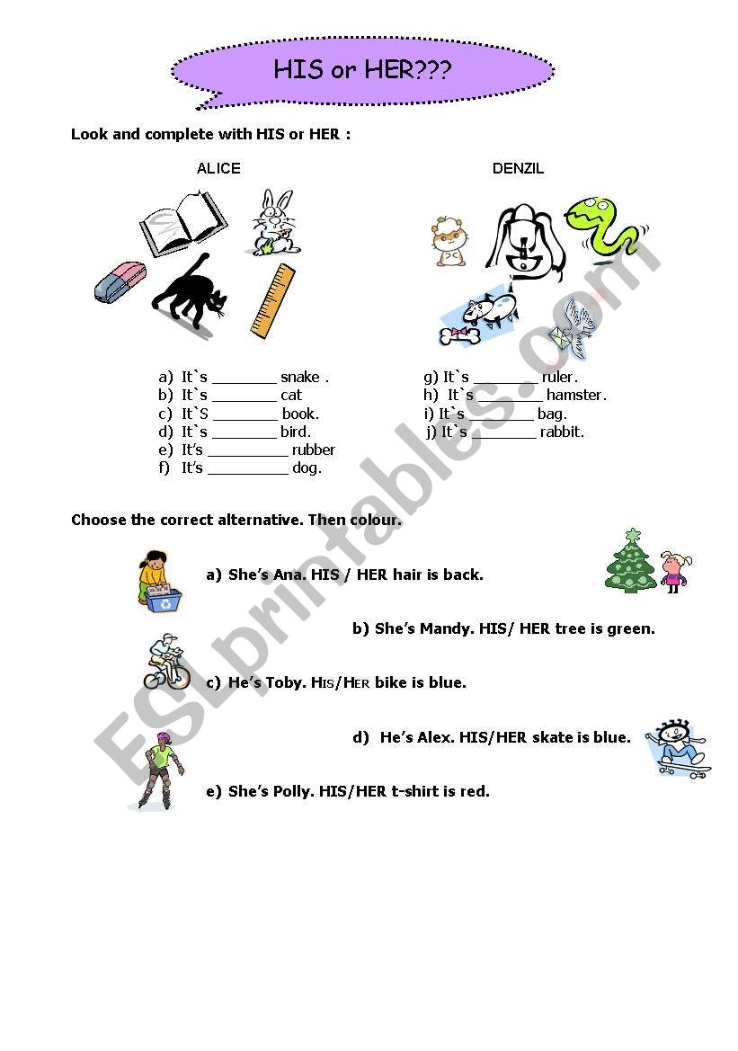 Her or His? worksheet