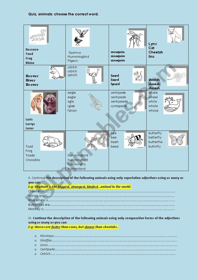 Quiz, animals, adjectives-comparative