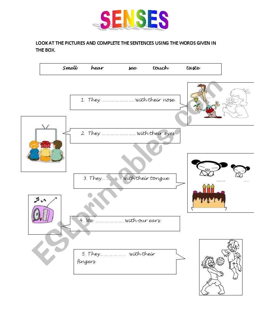 senses worksheet