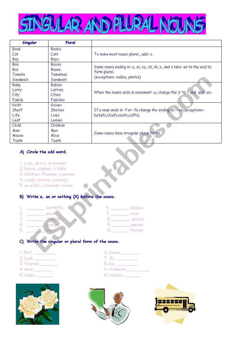 singular&plural worksheet