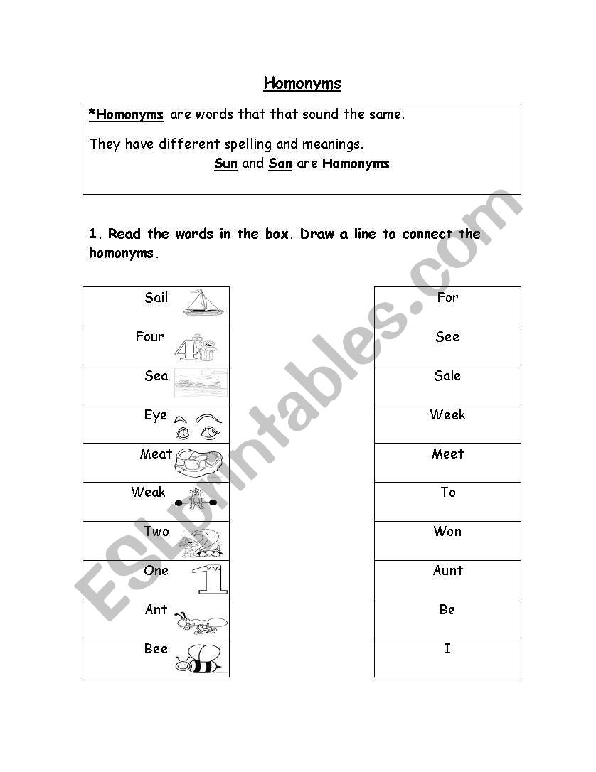 Homonyms worksheet