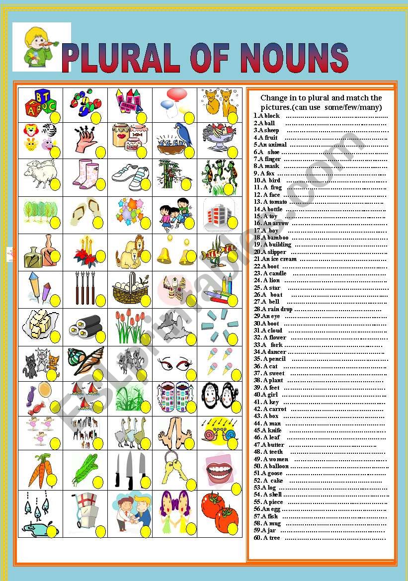 PLURAL  OF NOUN worksheet