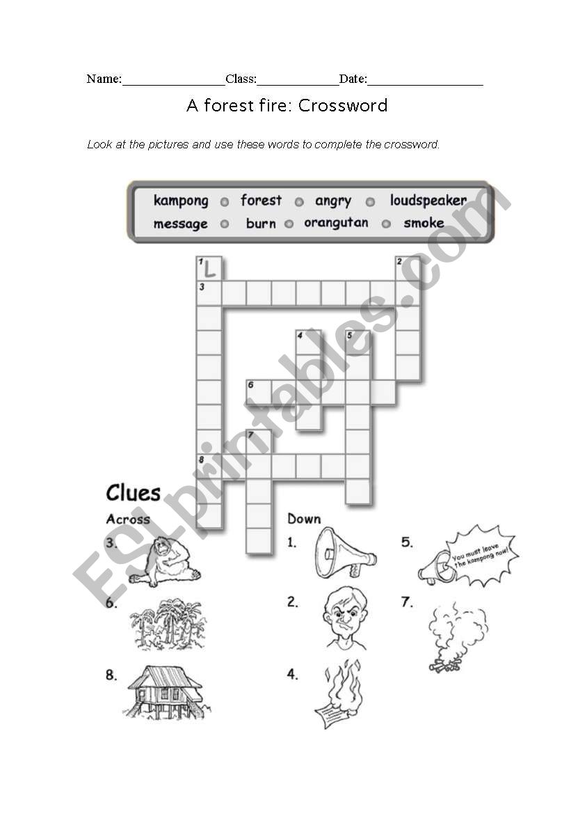 A forest fire worksheet