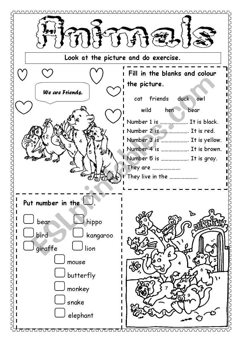 Animals worksheet