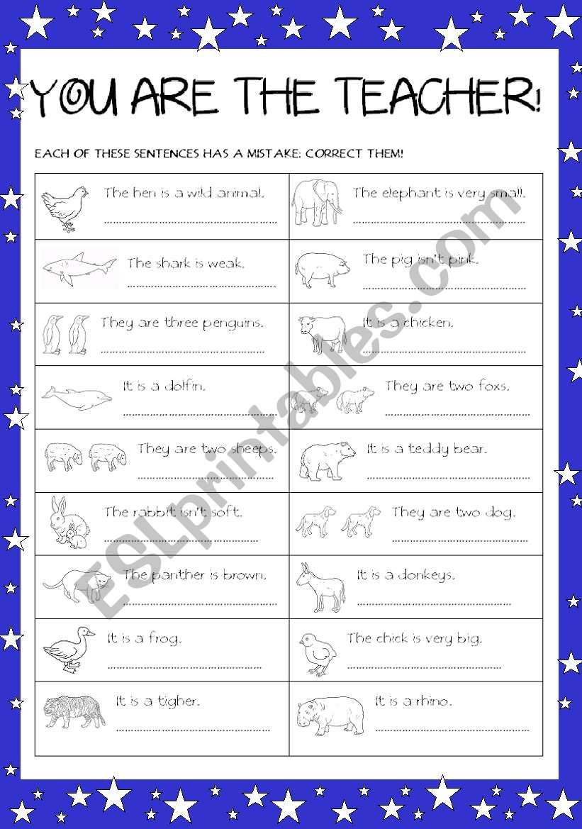 You are the teacher! worksheet