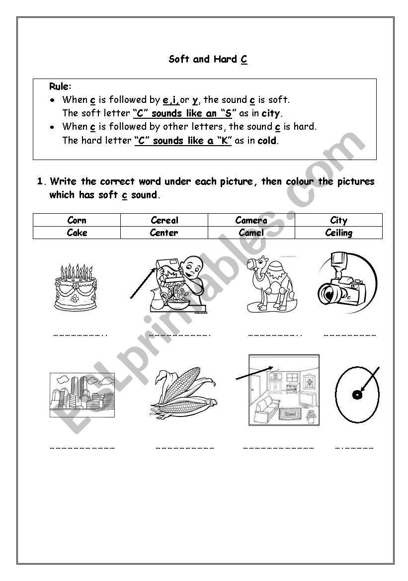 Soft and Hard C worksheet