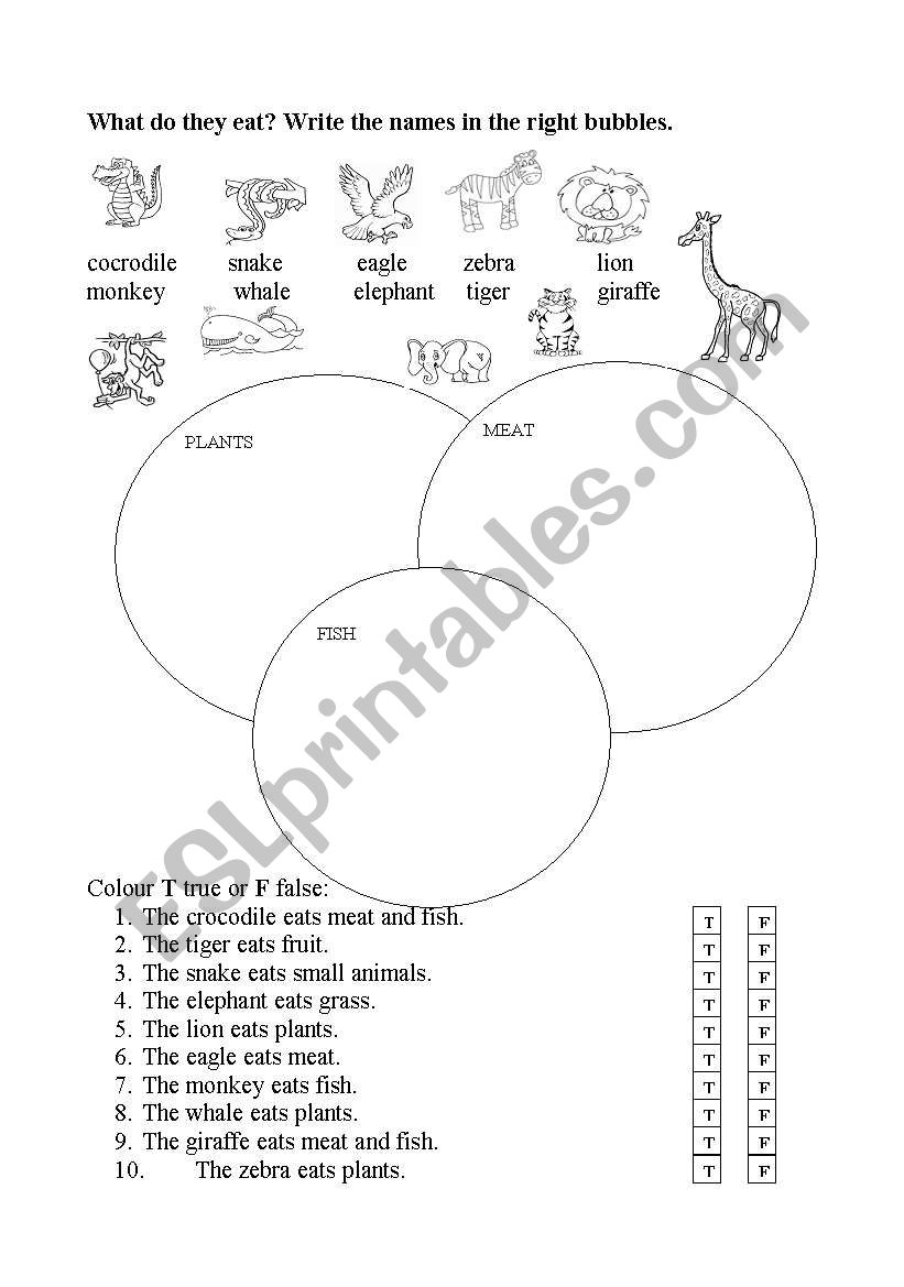 what do they eat? worksheet