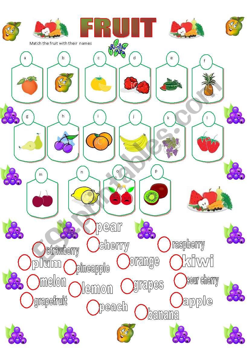 Fruit matching  worksheet