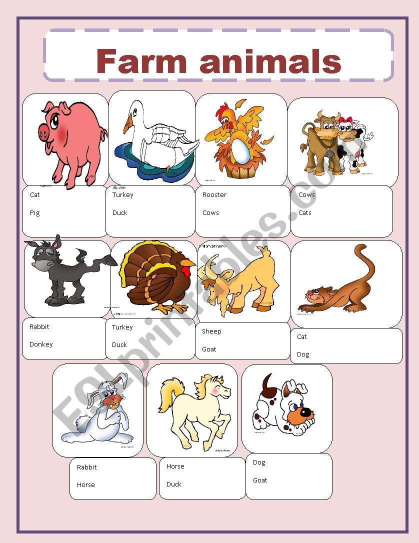 farm animals worksheet