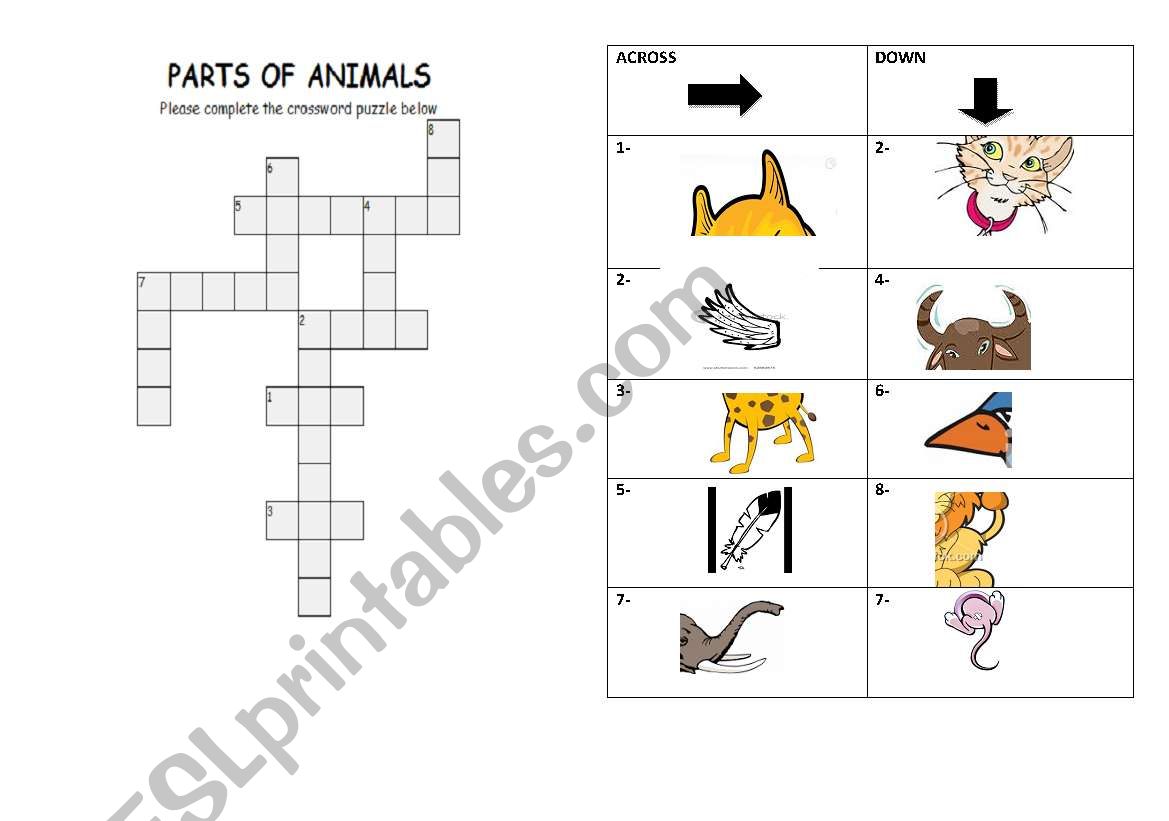 parts of animals worksheet