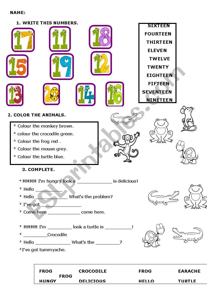 Revision numbers and animals worksheet