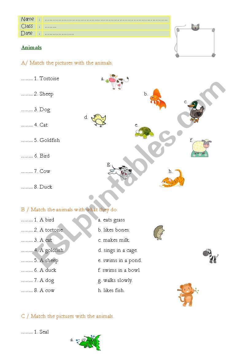Animals - Simple Present worksheet