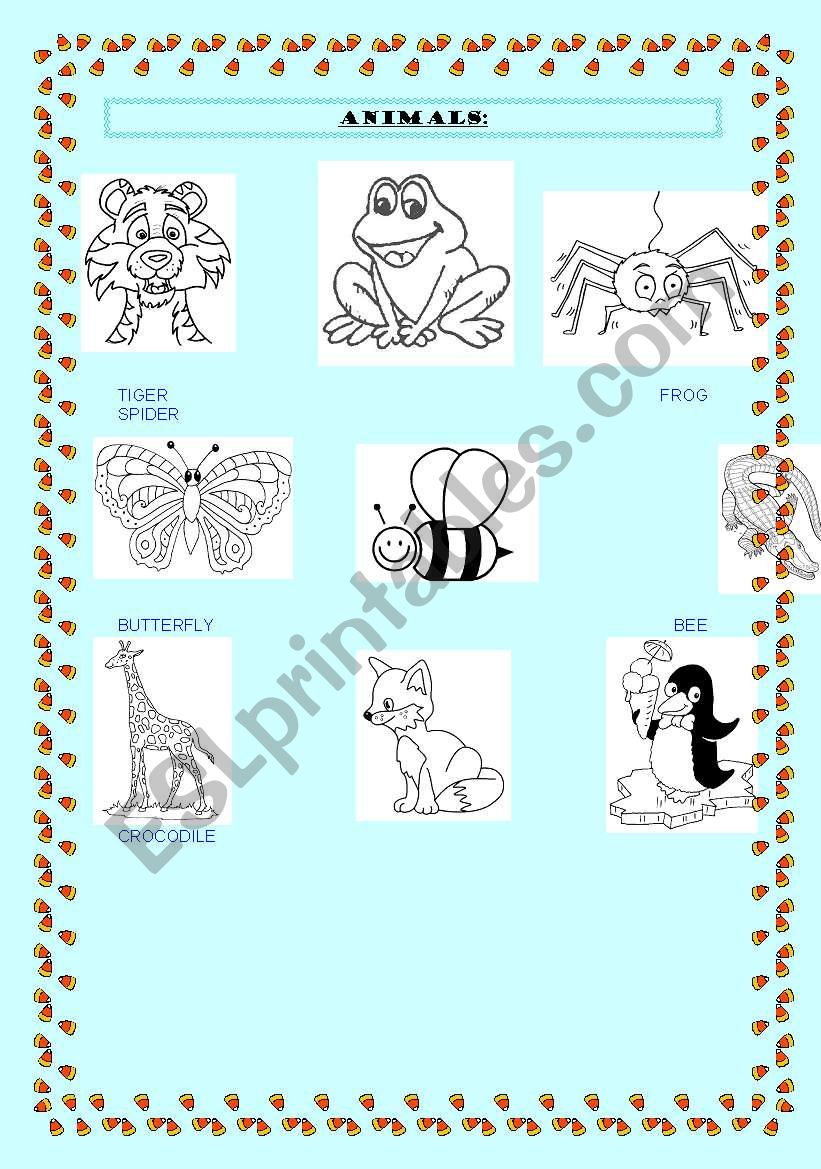 Animals vocabulary worksheet