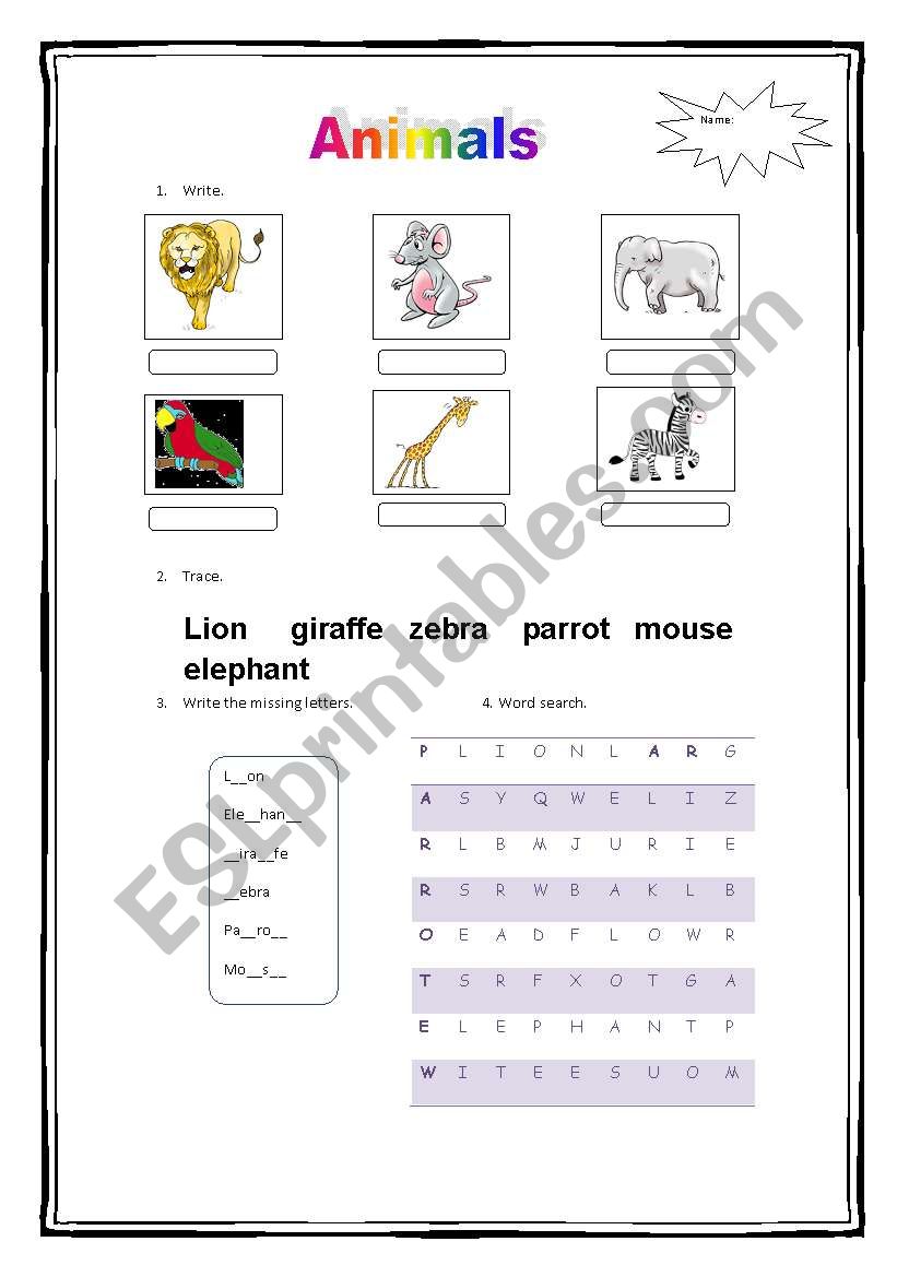 Animals worksheet