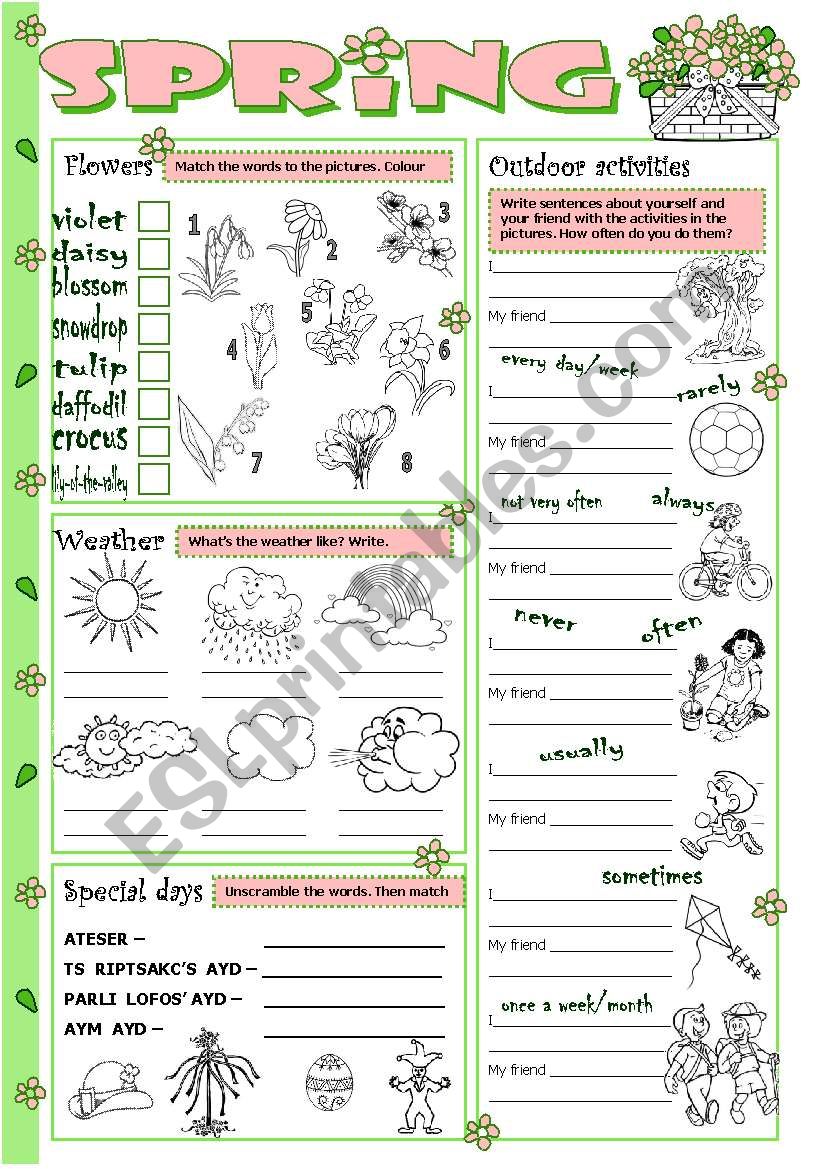 Spring worksheet