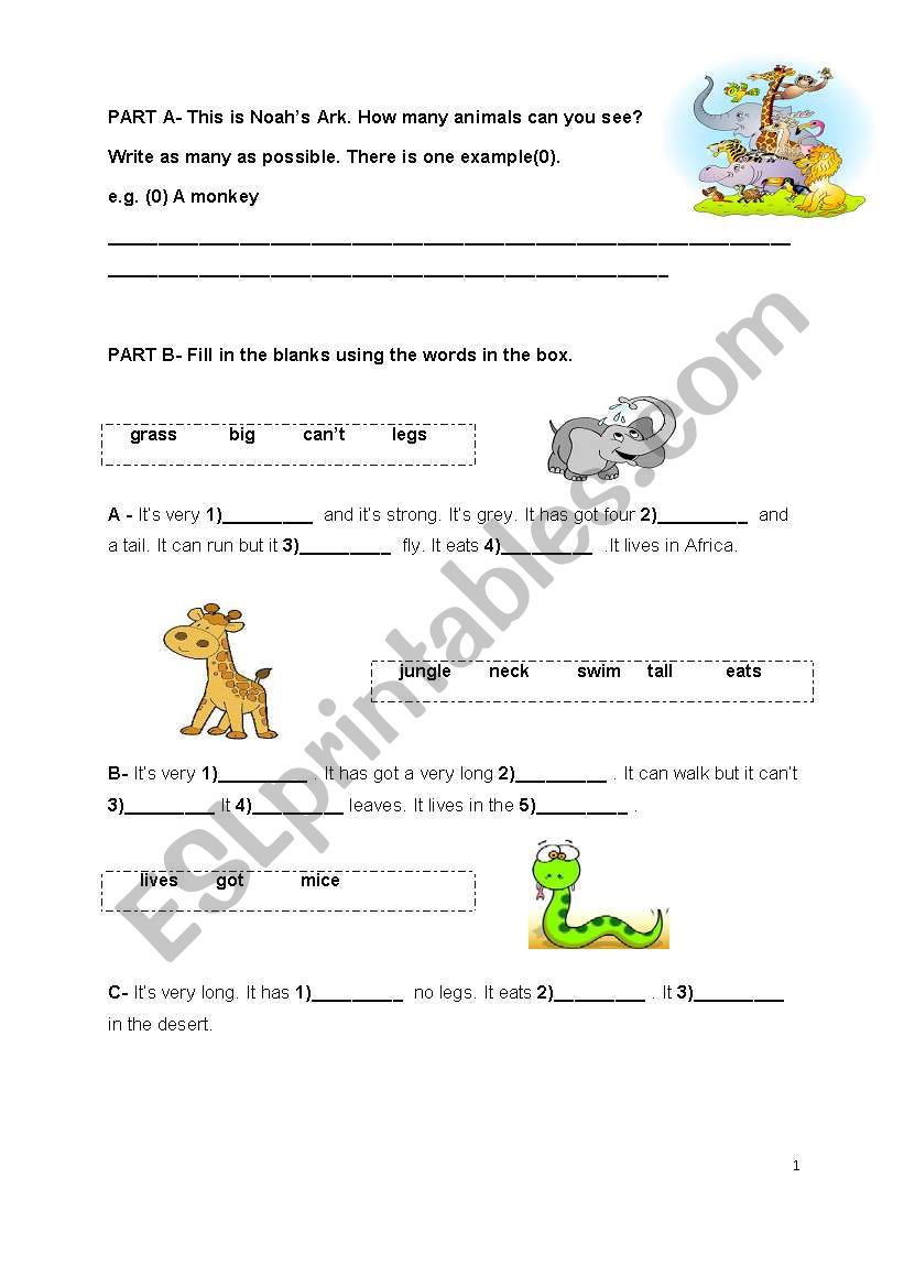 Animals worksheet