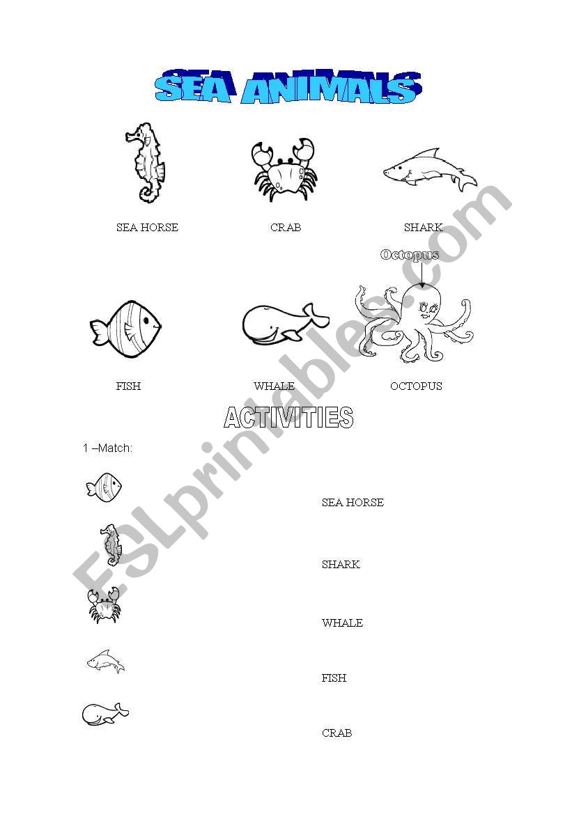 Sea animals worksheet