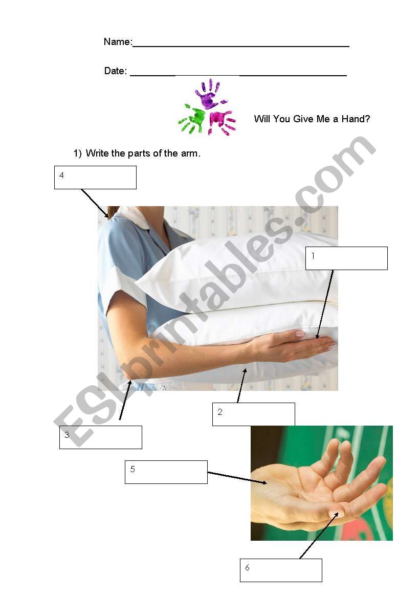 Arm worksheet