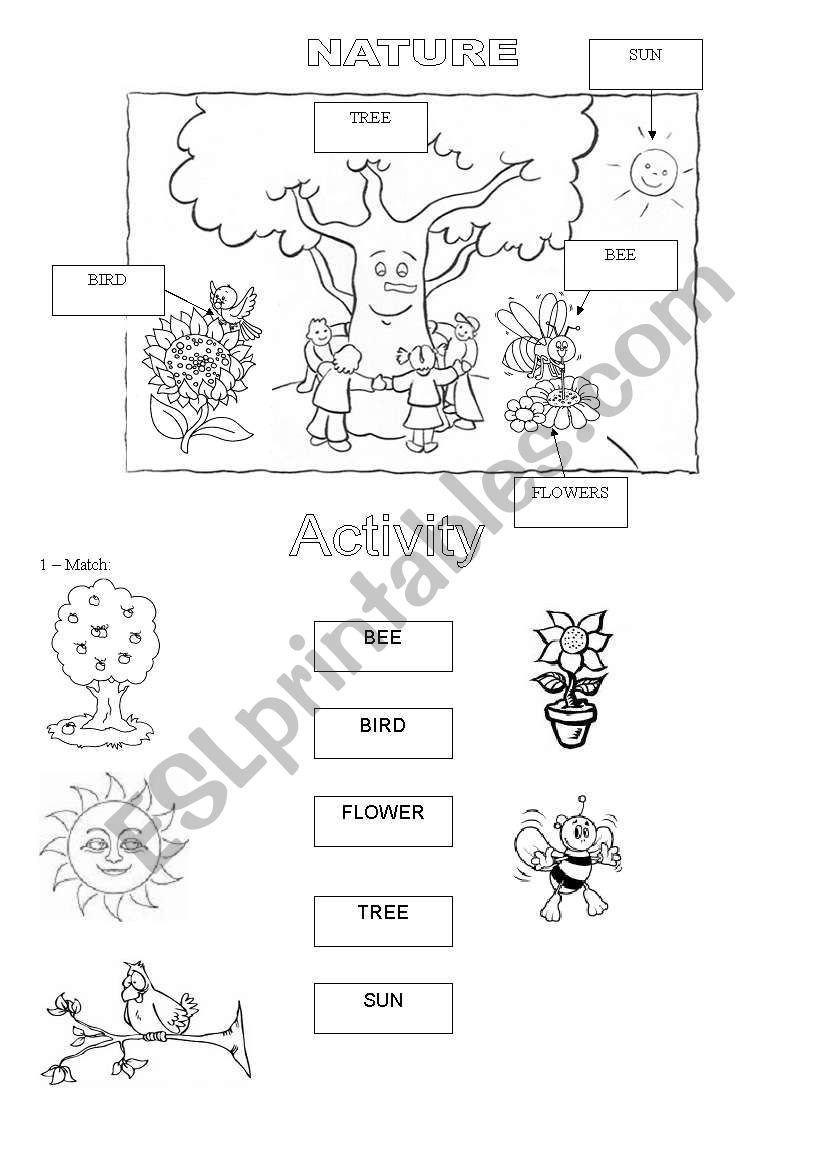 Nature elements pictionary: English ESL worksheets pdf & doc