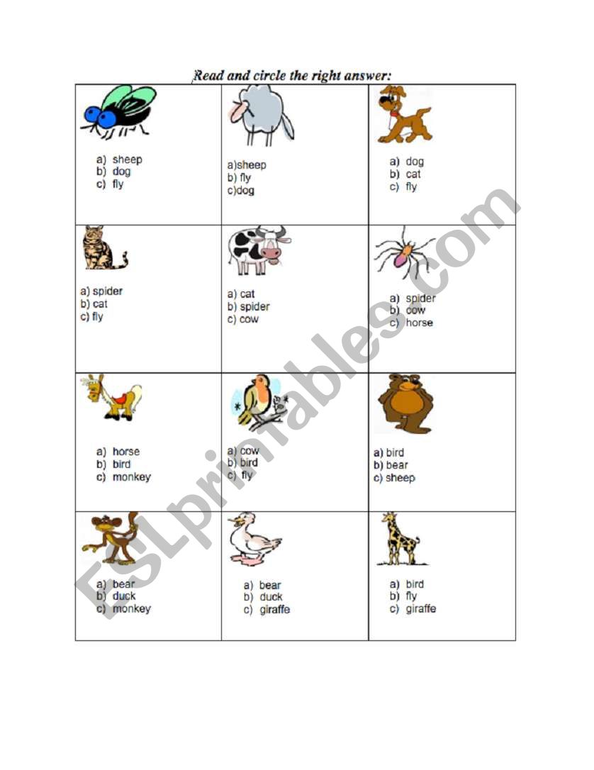 Circle the right word. worksheet