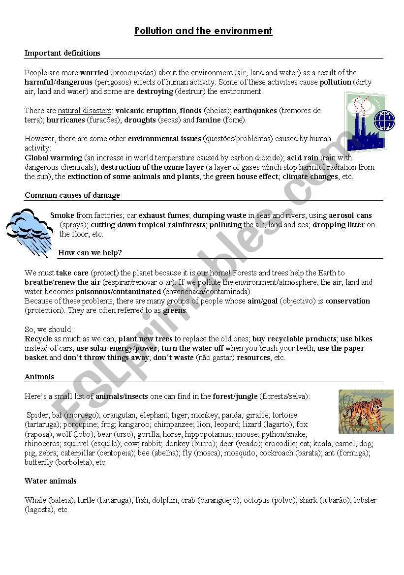Pollution and the environment worksheet