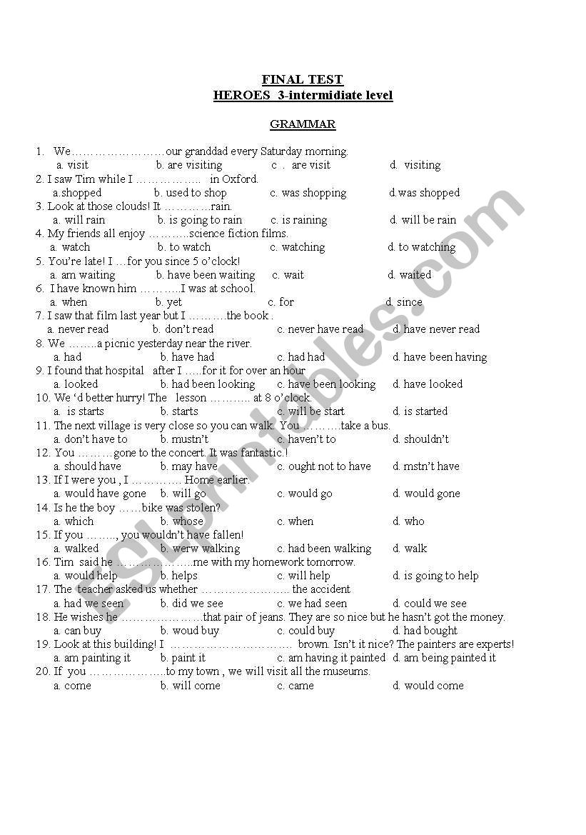 grammar +vocabulary test  worksheet