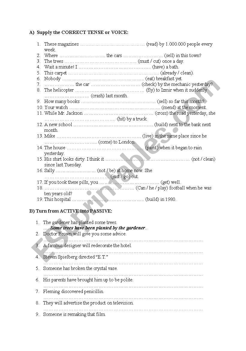 passive voice worksheet