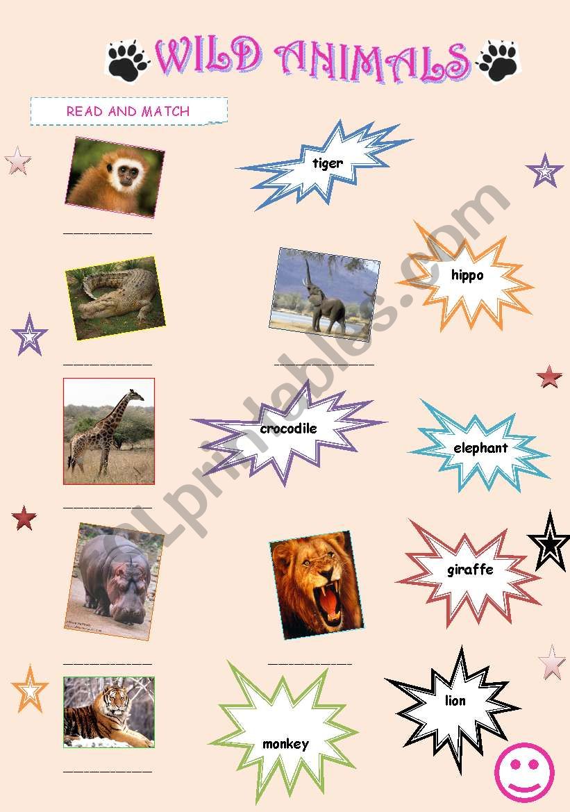 wild animals worksheet