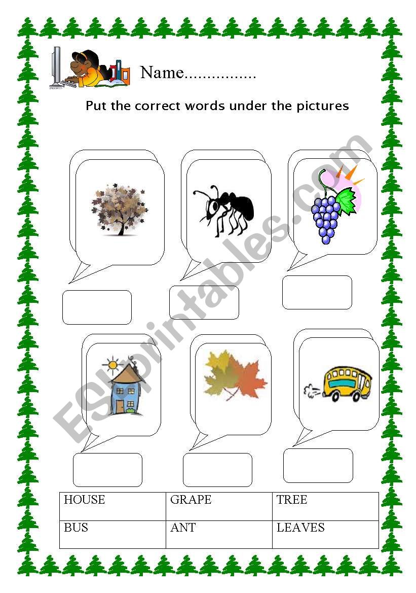 Name worksheet