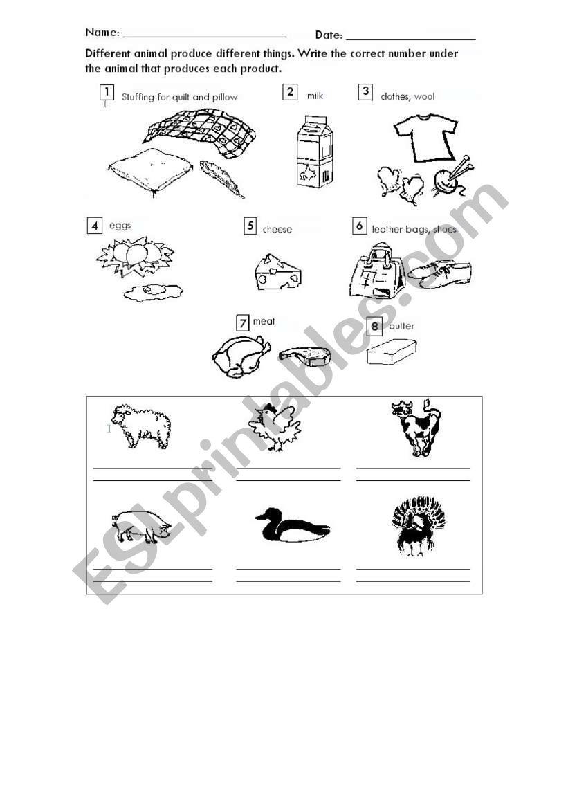 animal products worksheet