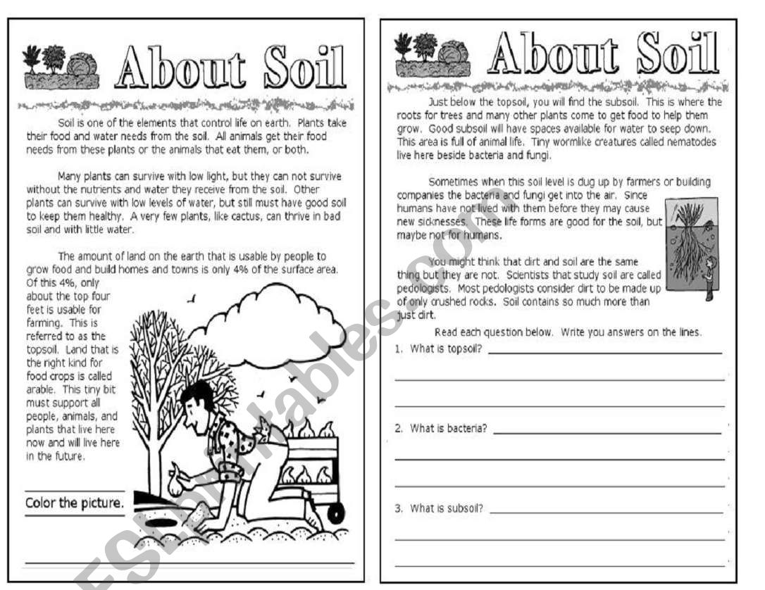 About soil -science for kids  worksheet