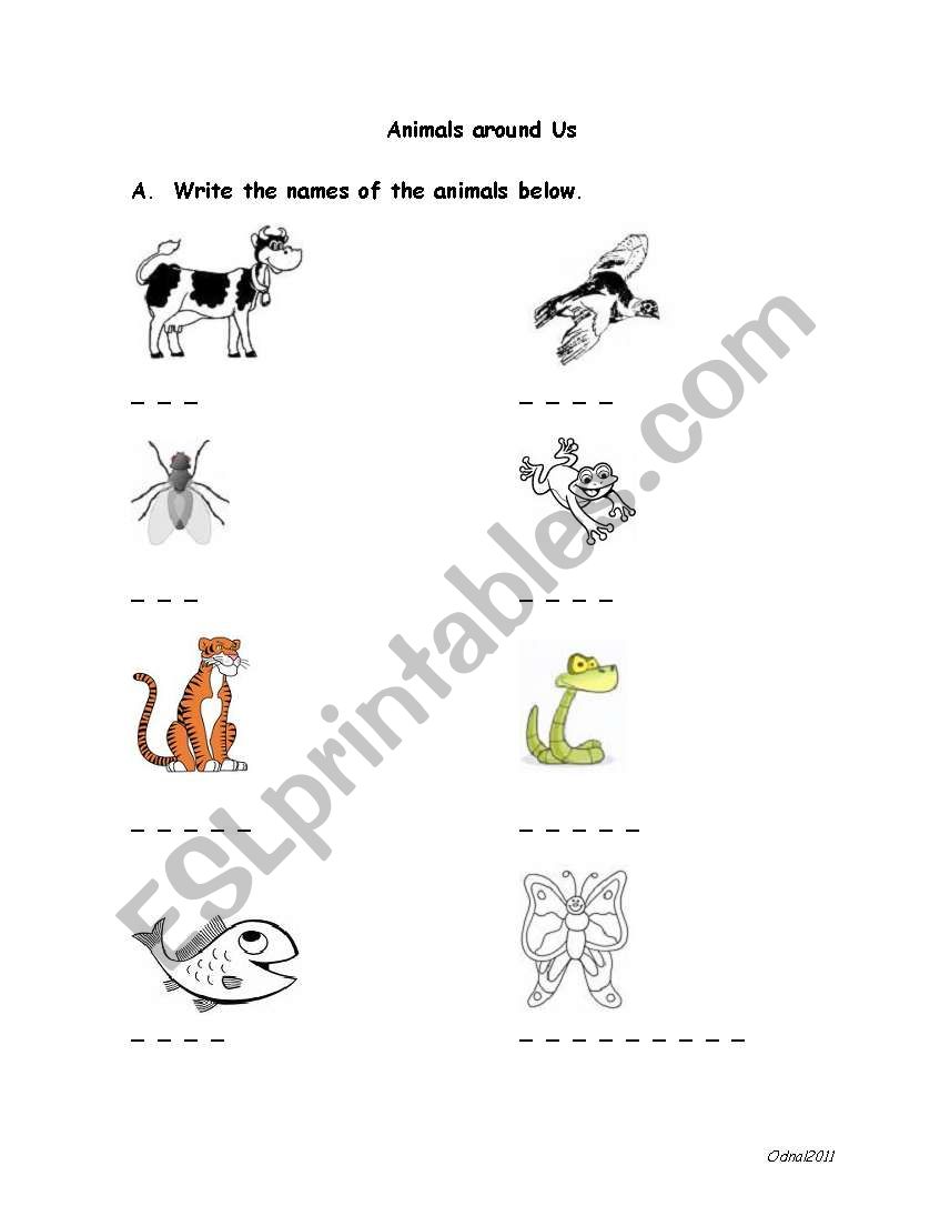 Animals around Us worksheet