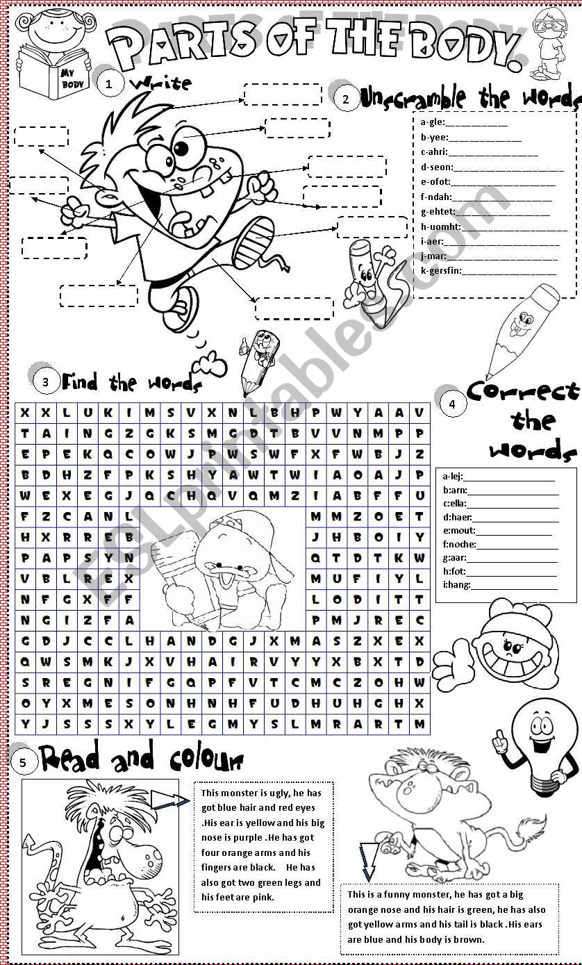 Parts of the body worksheet