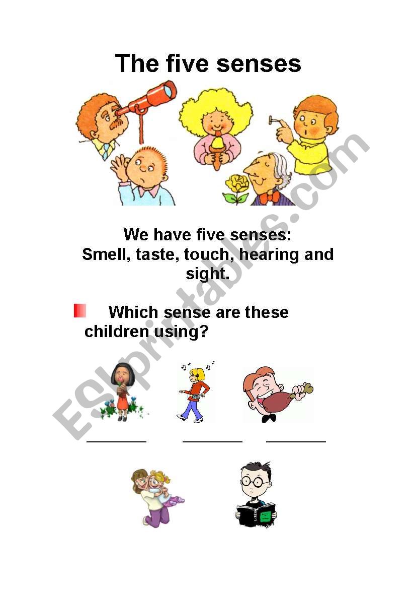 The Five Senses (3 pages) worksheet