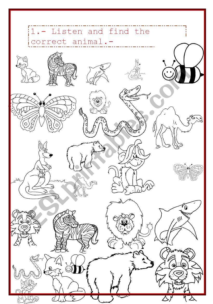 find the correct animals worksheet