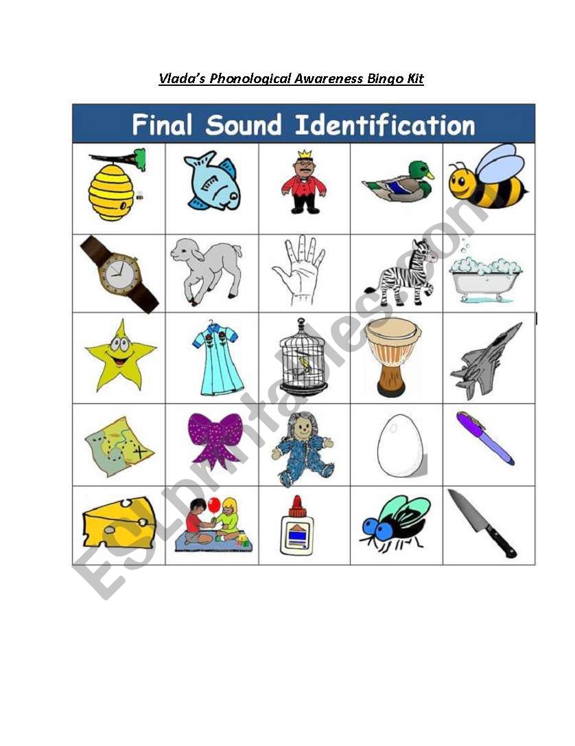 Final Sound Identification worksheet