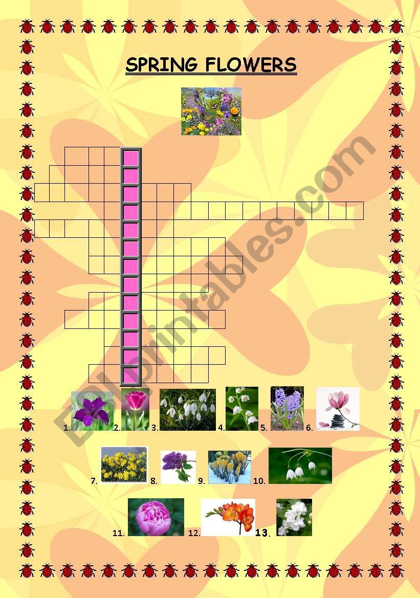 Spring Flowers worksheet