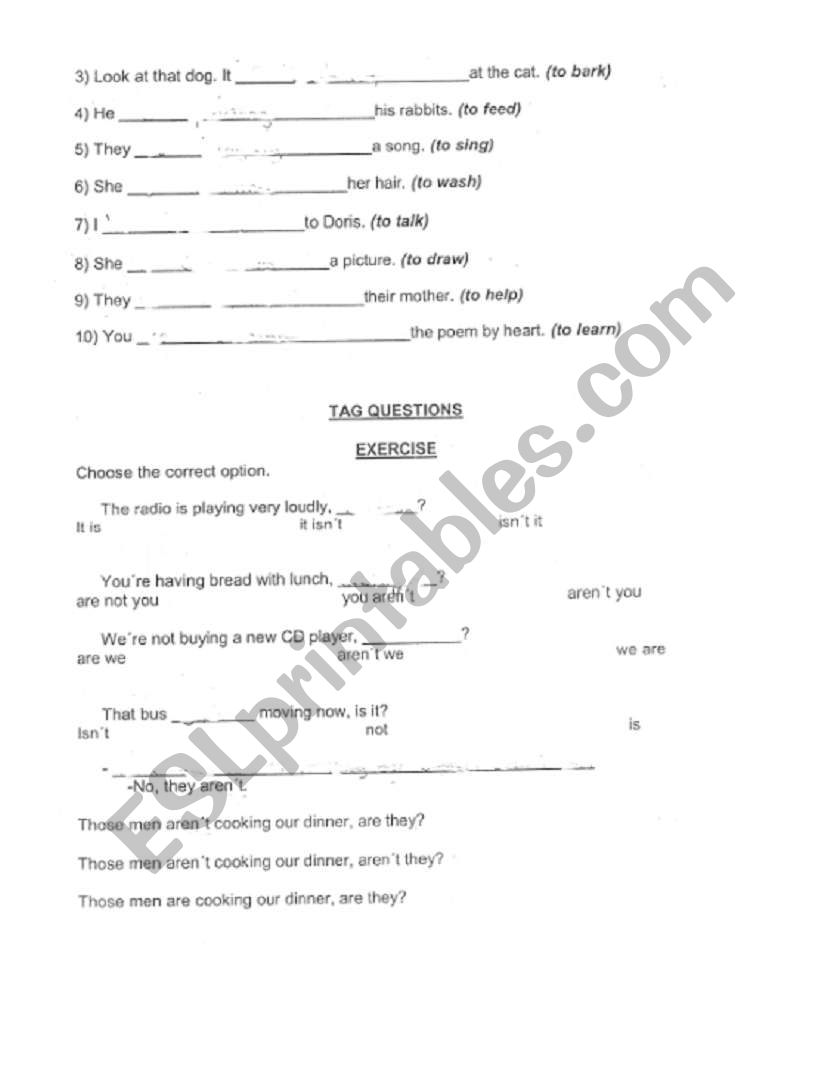 study tag questions worksheet