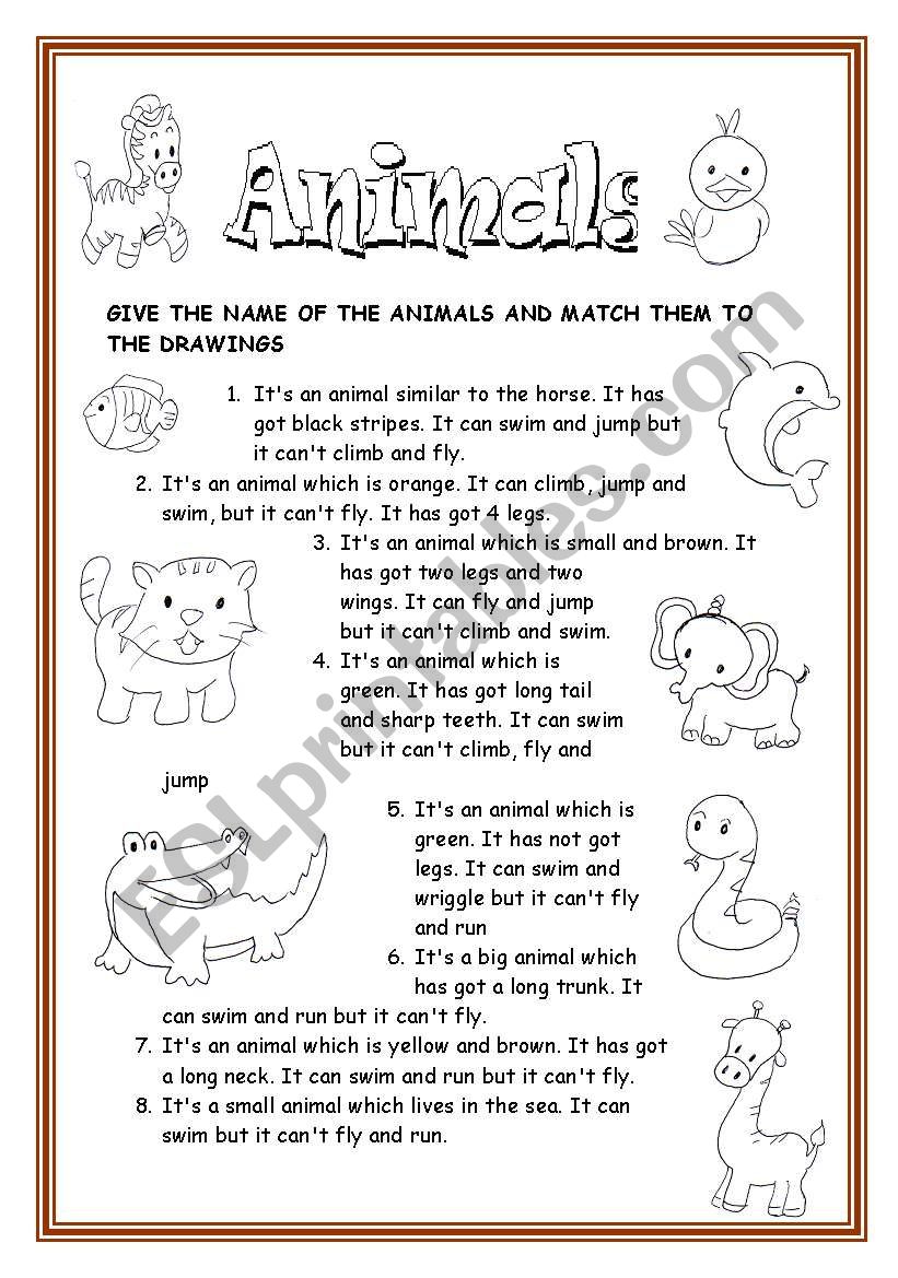 ANIMALS worksheet