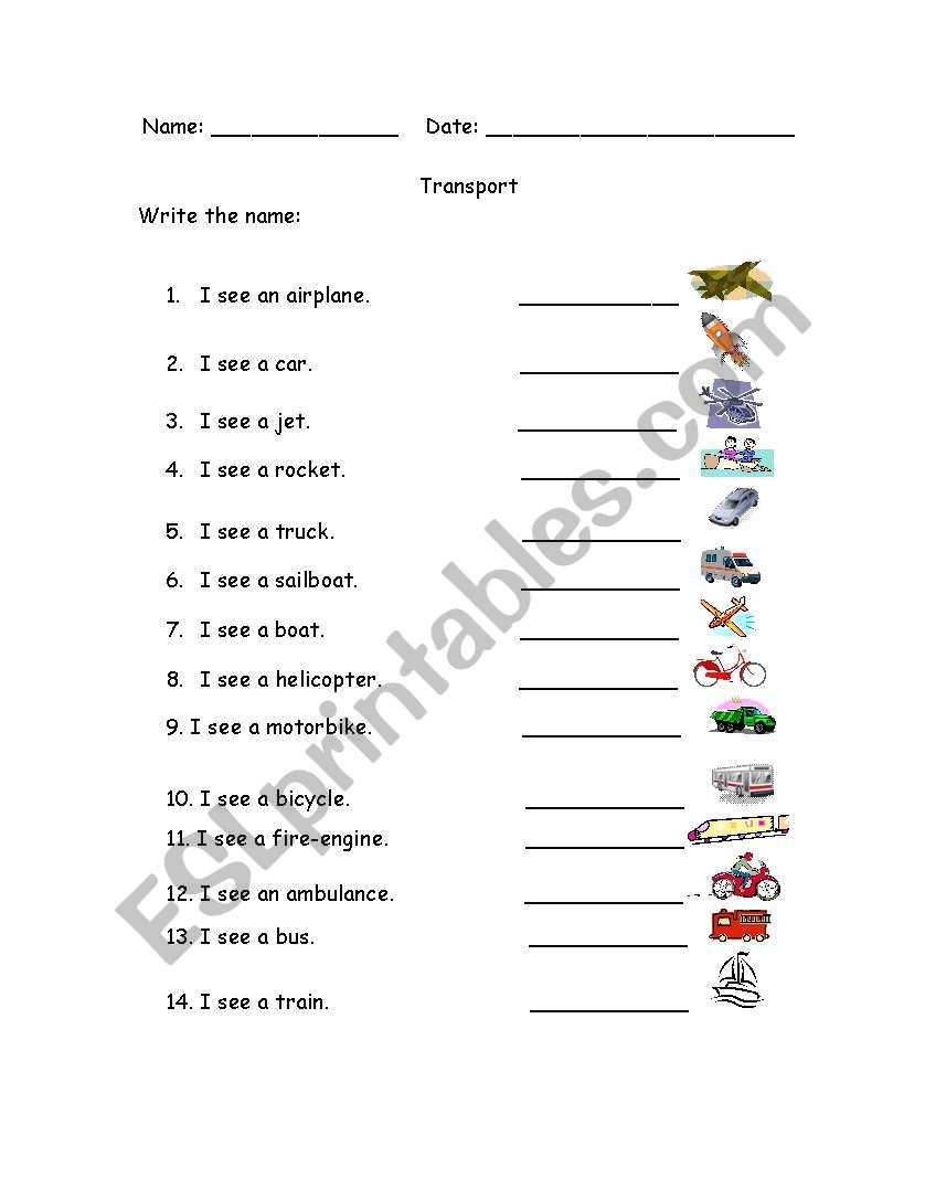 Transport worksheet