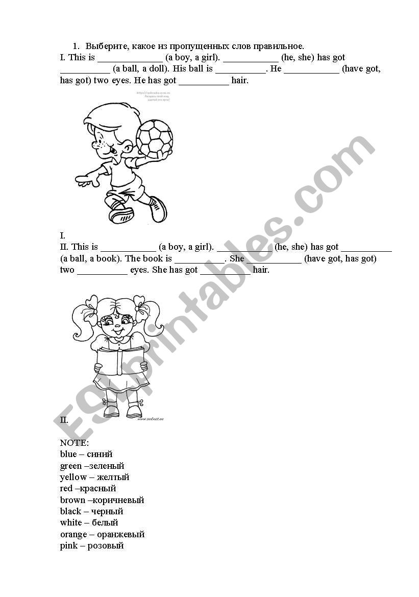 Revision of colors worksheet