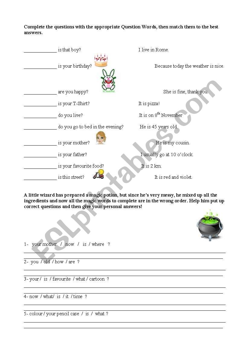 Question words and question structure