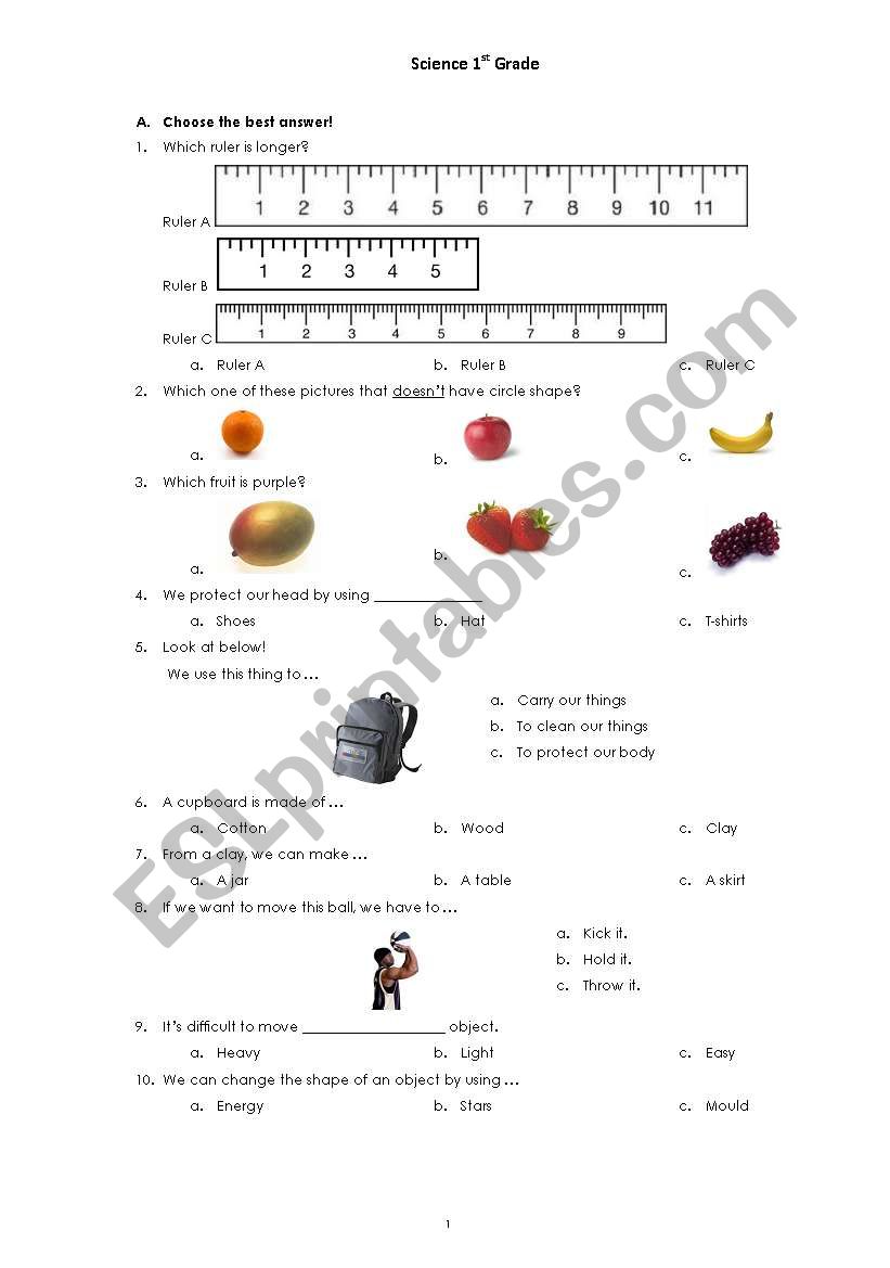 Science 1st grade worksheet
