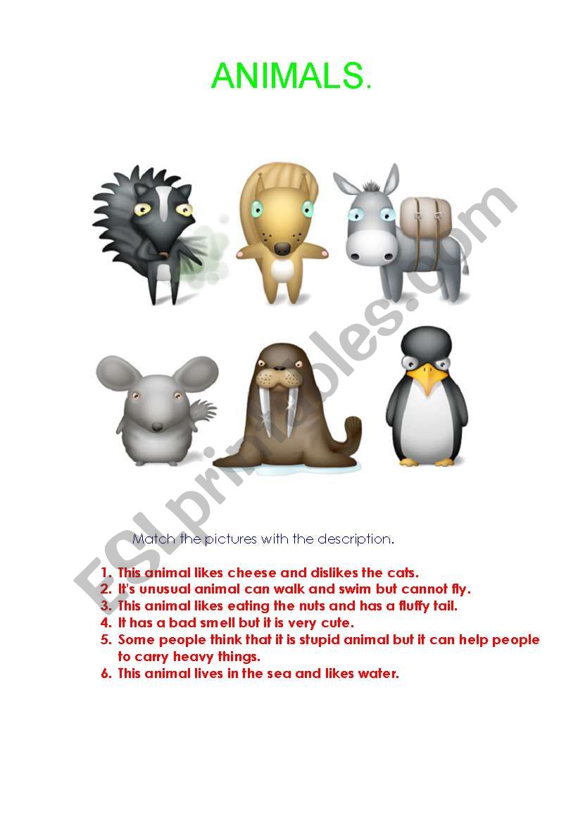 Animals worksheet