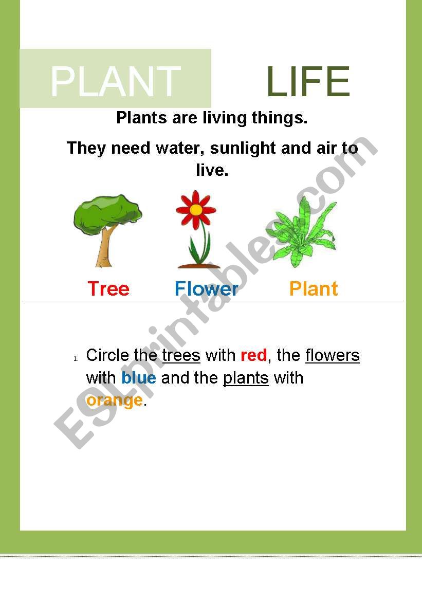 Plant Life: Trees, Flower and Plants