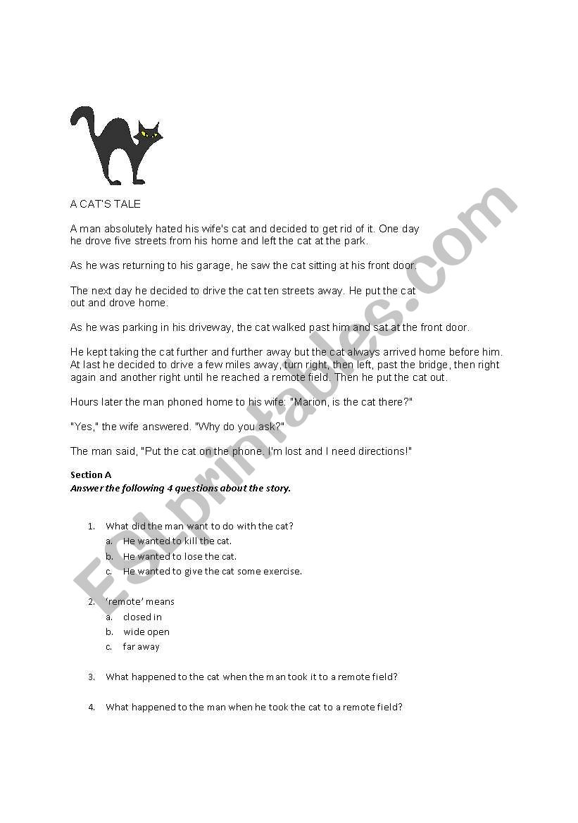 A cats tale worksheet